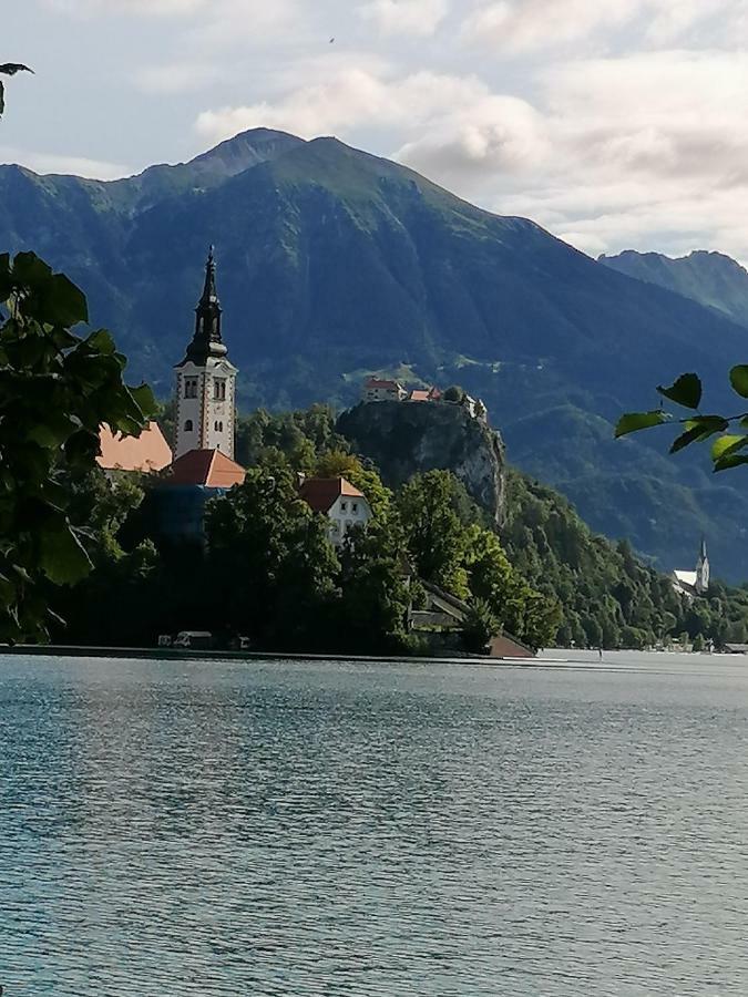 Hisa Vally Art Блед Экстерьер фото